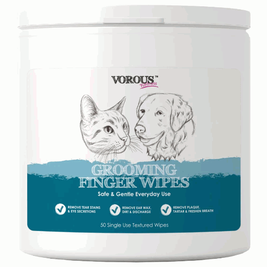 Best Pet Groomer